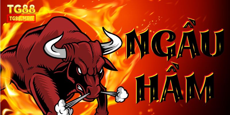 Ngầu Hầm TG88